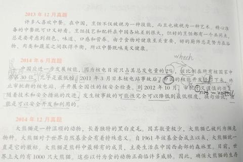 2020年翻译真题深度解析_考点聚焦与技巧突破 2020年翻译真题深度解析_考点聚焦与技巧突破