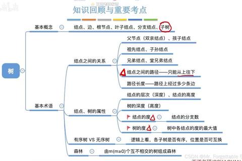 811数据结构真题解析：核心考点与重难点突破指南