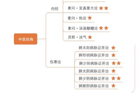 中医真题解析_高频考点与难点突破实战精讲