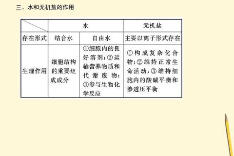 德语考研真题解析_核心考点分布与高效复习路径 德语考研真题解析_核心考点分布与高效复习路径