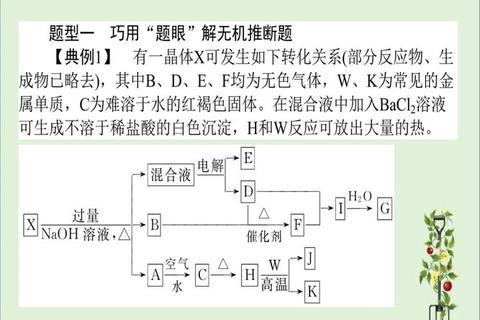 华科大805真题_核心考点解析与高频题型突破指南 华科大805真题_核心考点解析与高频题型突破指南