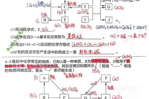 963有机化学真题解析_核心考点精讲与高效备考策略