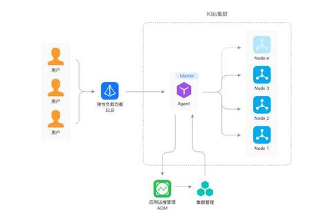 CCER真题核心考点解析_备考策略与实战技巧