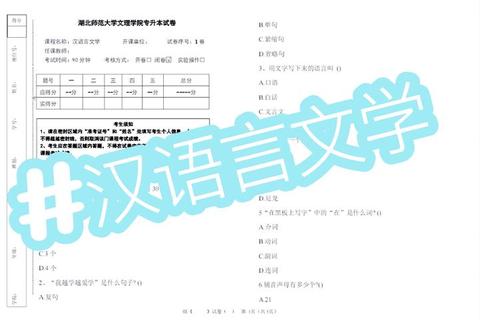 345汉语基础真题解析：高频考点突破与备考策略精讲