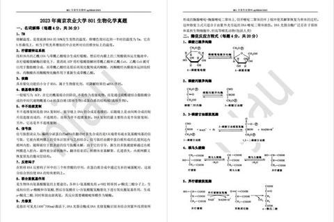 南农612化学真题解析_核心考点与备考策略精要 南农612化学真题解析_核心考点与备考策略精要