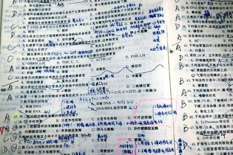 西综306真题高频考点解析-备考策略与答题技巧突破 西综306真题高频考点解析-备考策略与答题技巧突破