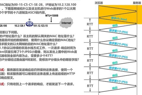 同济408真题解析_高频考点与命题规律深度剖析