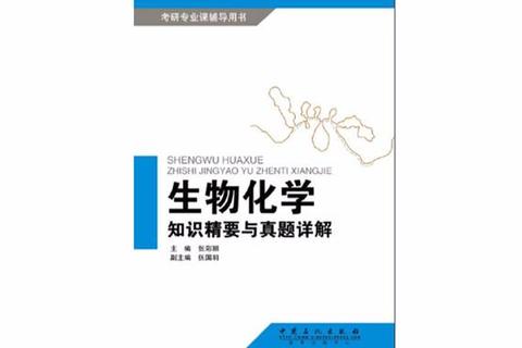 北外意大利文化真题解析_核心考点与备考策略精要