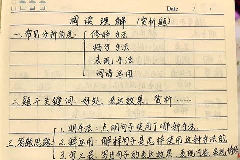 DNT真题核心解析_高频考点与答题技巧深度剖析