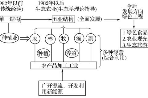 843细胞真题答案解析-核心考点归纳与高效备考策略