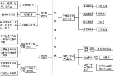 MPA历年真题与参考答案解析_备考重点与核心考点精析