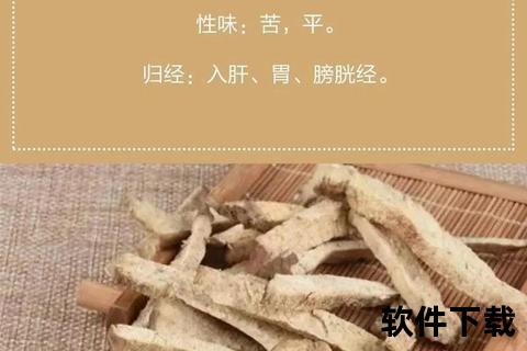 绵萆薢功效与作用解析：祛湿通络_风湿治疗及临床应用