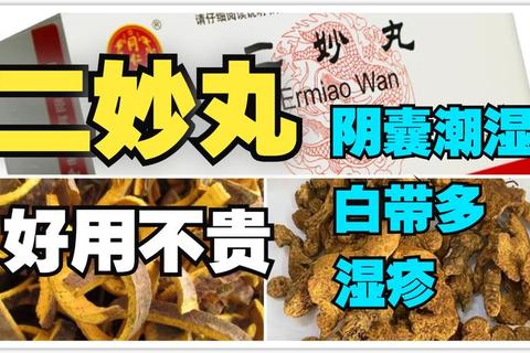 二妙丸妇科适应症解析：湿热型带下与炎症适用