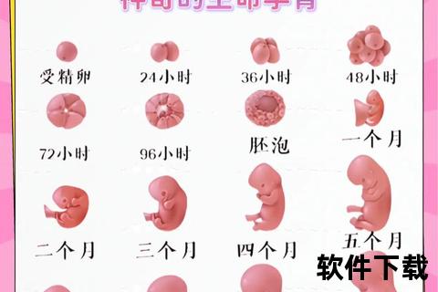 小孩子会怀孕吗_解析儿童生理发育与怀孕可能性