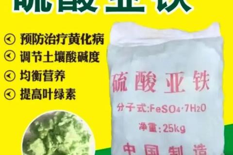 复方硫酸亚铁_治疗缺铁性贫血的机制与临床应用研究