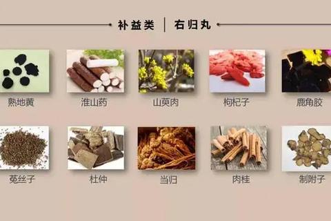 右归胶囊：温补肾阳方剂_改善肾阳不足及遗精症状研究