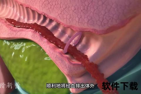 处女膜状态检查指南:自我观察与医学诊断方法 处女膜状态检查指南:自我观察与医学诊断方法