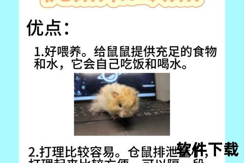 仓鼠饮水频率解析-科学喂养指南与每日水量需求