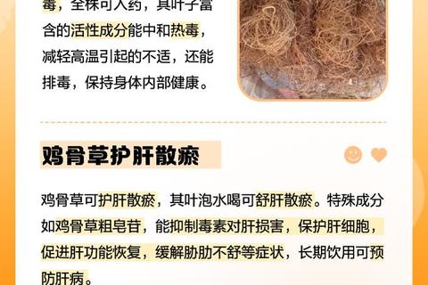 鸡骨草功效解析：清热解毒-护肝利湿的天然草本应用