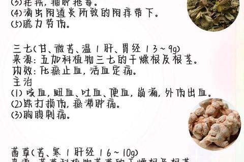 月经止血药解析:快速止血与安全调理的关键选择 月经止血药解析:快速止血与安全调理的关键选择