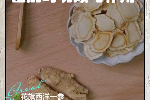花旗参核心功效解析：补气养阴与免疫调节作用