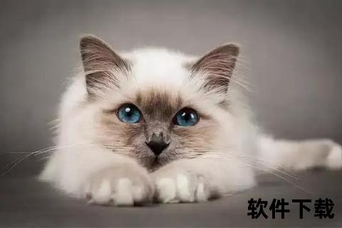 梦中猫影暗藏何意_解读梦见猫的吉凶预兆与心理象征