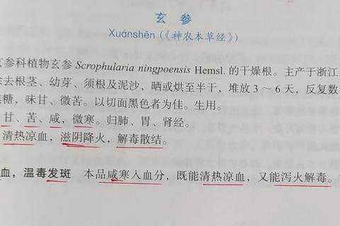玄参功效解析：清热凉血_滋阴降火_解毒散结作用详解