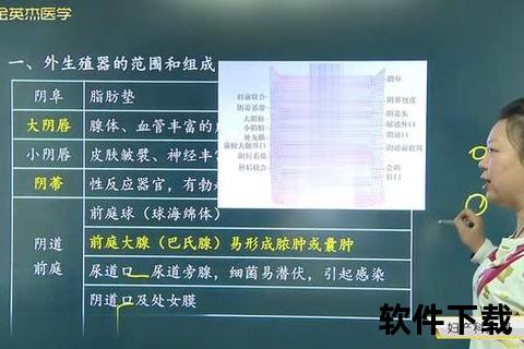 女性口位置解析：外生殖器解剖结构详解