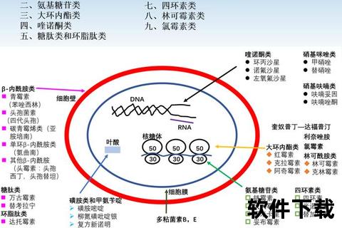 联邦消炎药：抗炎机制解析与临床应用创新研究