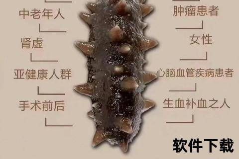 海参食用副作用警示-潜在健康风险与禁忌人群解析