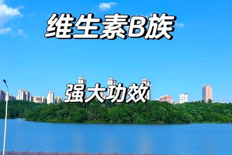 维生素B6：代谢调节、神经健康与疾病防治的关键作用
