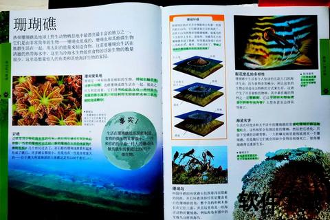 复方珊瑚：海洋天然药源创新应用与协同机制解析