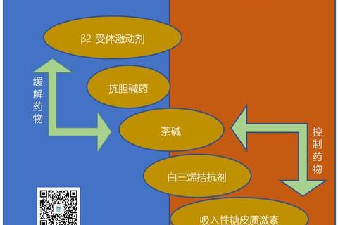 哮喘病用药优化策略：药物选择与治疗管理新进展