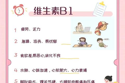 B族维生素核心解析：健康作用与科学补充指南