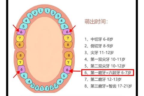 小孩乳牙脱落恒牙迟萌-原因解析及应对指南