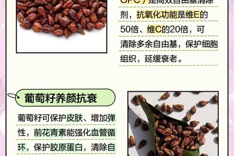 澳大利亚葡萄籽核心功效解析：抗氧化美容与健康作用探秘