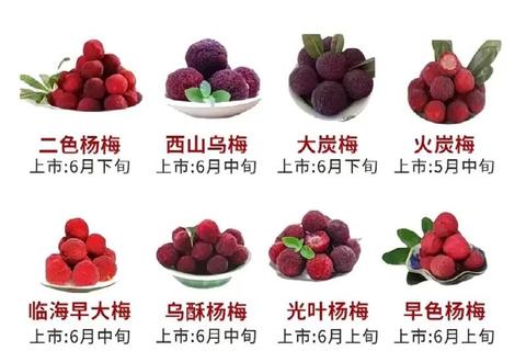 杨梅的7大健康功效解析：抗氧化_护眼_促消化作用详解