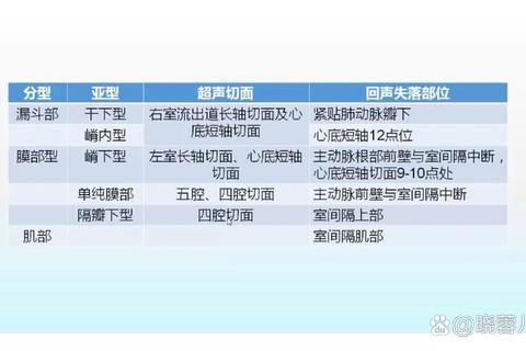 新生儿室间隔缺损_病因机制_诊疗策略与长期预后分析