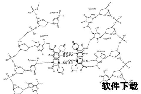 左氧氟沙星消炎作用机制解析与临床应用要点