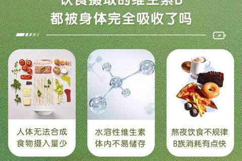维生素片_科学配方与全面营养-守护每日健康活力之源