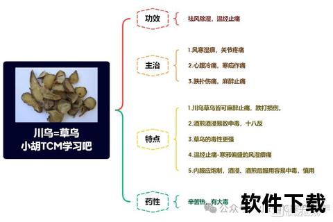 川乌功效与作用详解-祛风除湿及温经止痛机制探析