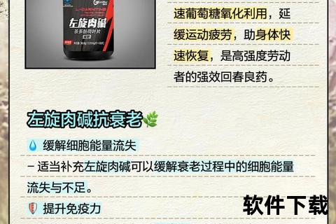 左旋肉碱茶多酚胶囊：燃脂抗氧化双效解析