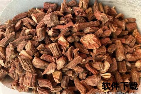 参芍胶囊临床功效解析：益气活血与心血管保护作用探析