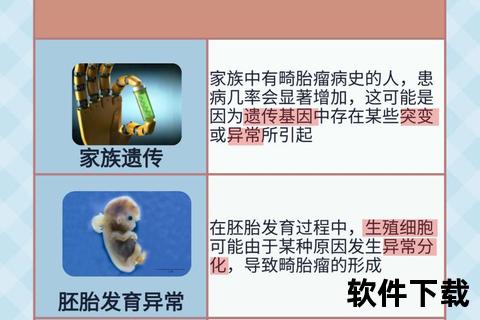 畸胎瘤确诊要点解析:症状识别与医学检查流程