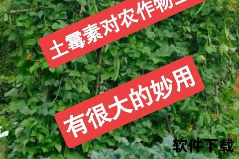 土霉素消炎效果解析：作用机制_适用症状及使用注意事项