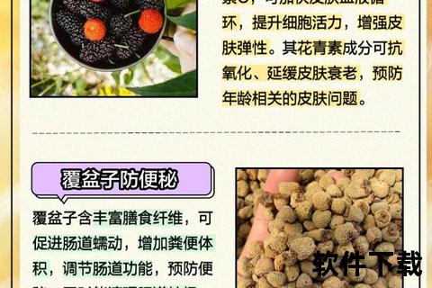 覆盆子：天然抗氧化剂与肾脏保健的双重功效解析