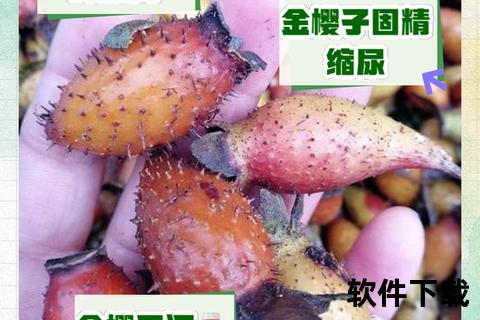 金樱根功效与作用解析:药用价值及健康应用指南