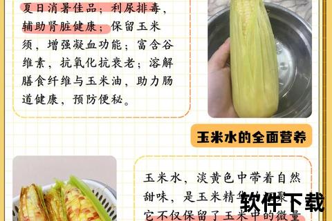 玉米煮熟时间解析：不同煮法所需时长与技巧指南
