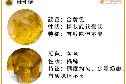 新生儿两天没大便正常吗_解析生理性攒肚与异常信号