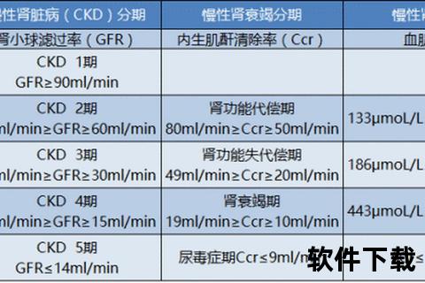 肌酐正常范围解析：参考数值及临床意义指南